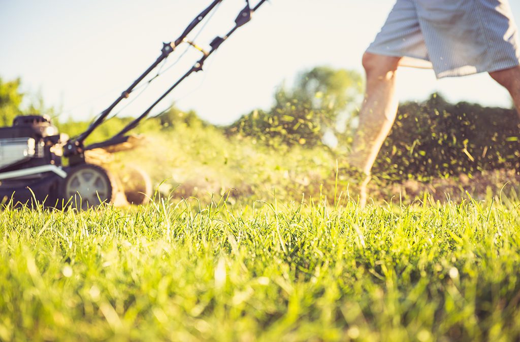 Tackling Your Lawnmower
